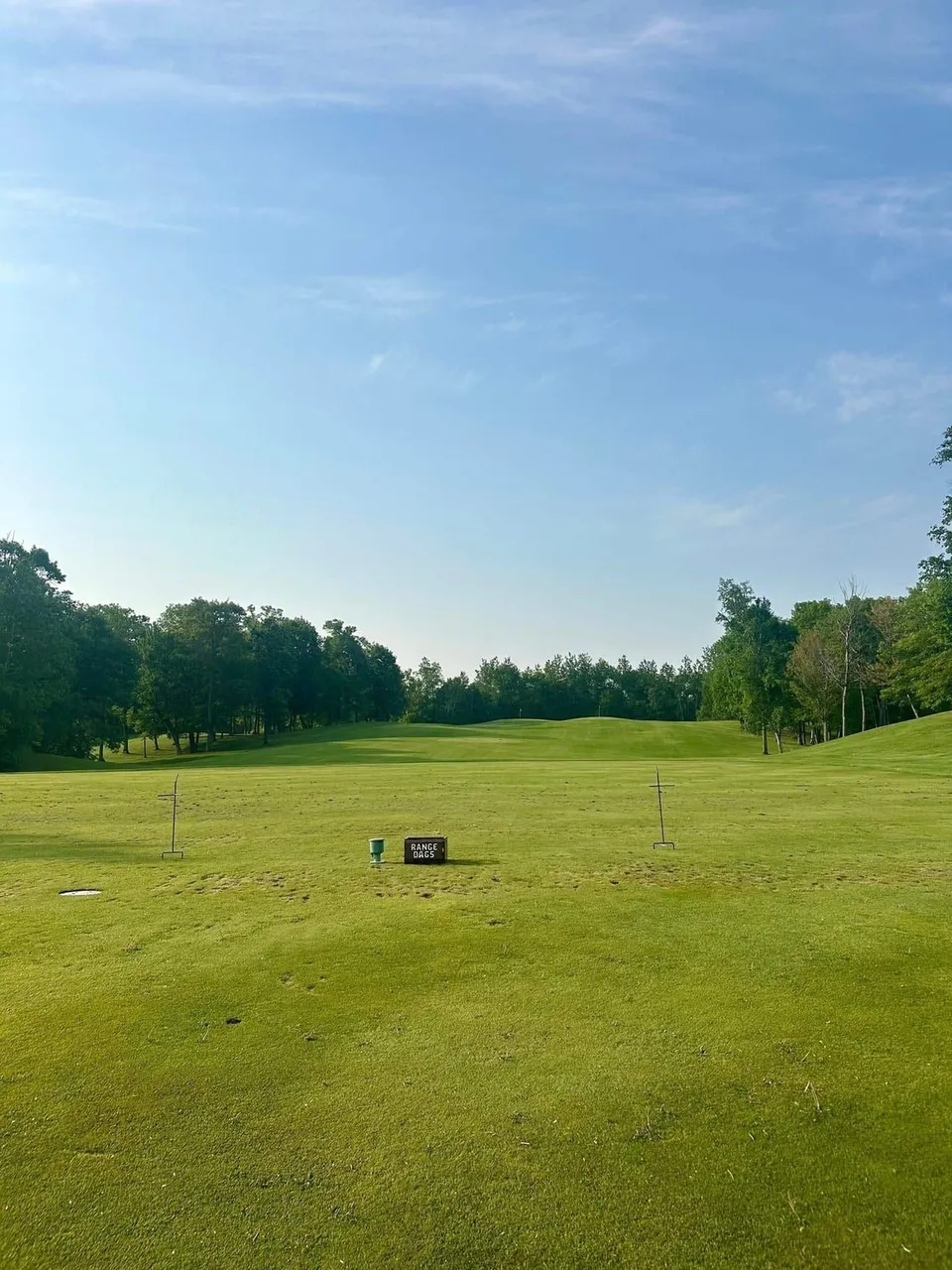 Driving range tee line with practice mats and a ball field running into the trees