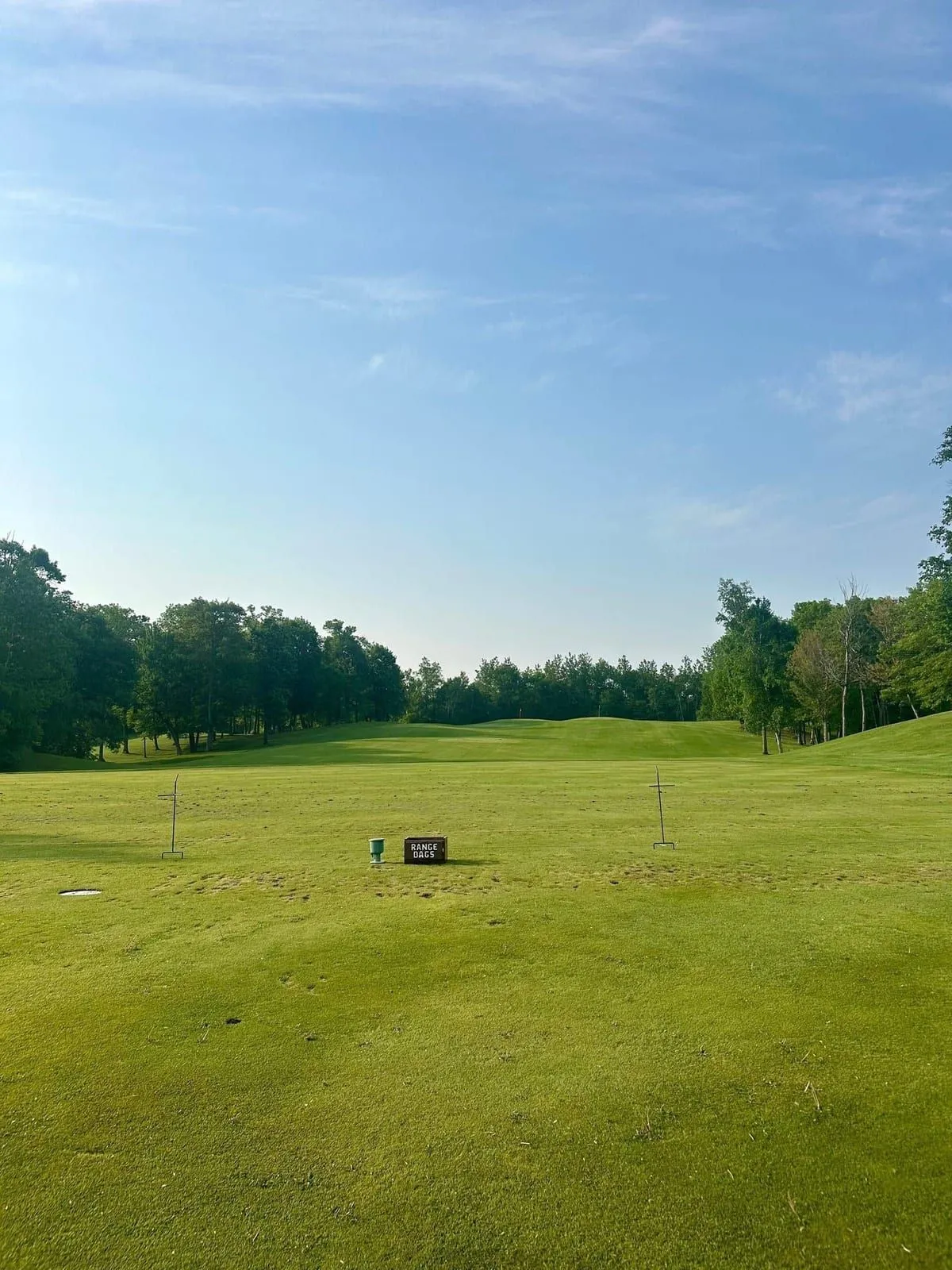Driving range tee line with practice mats and a ball field running into the trees