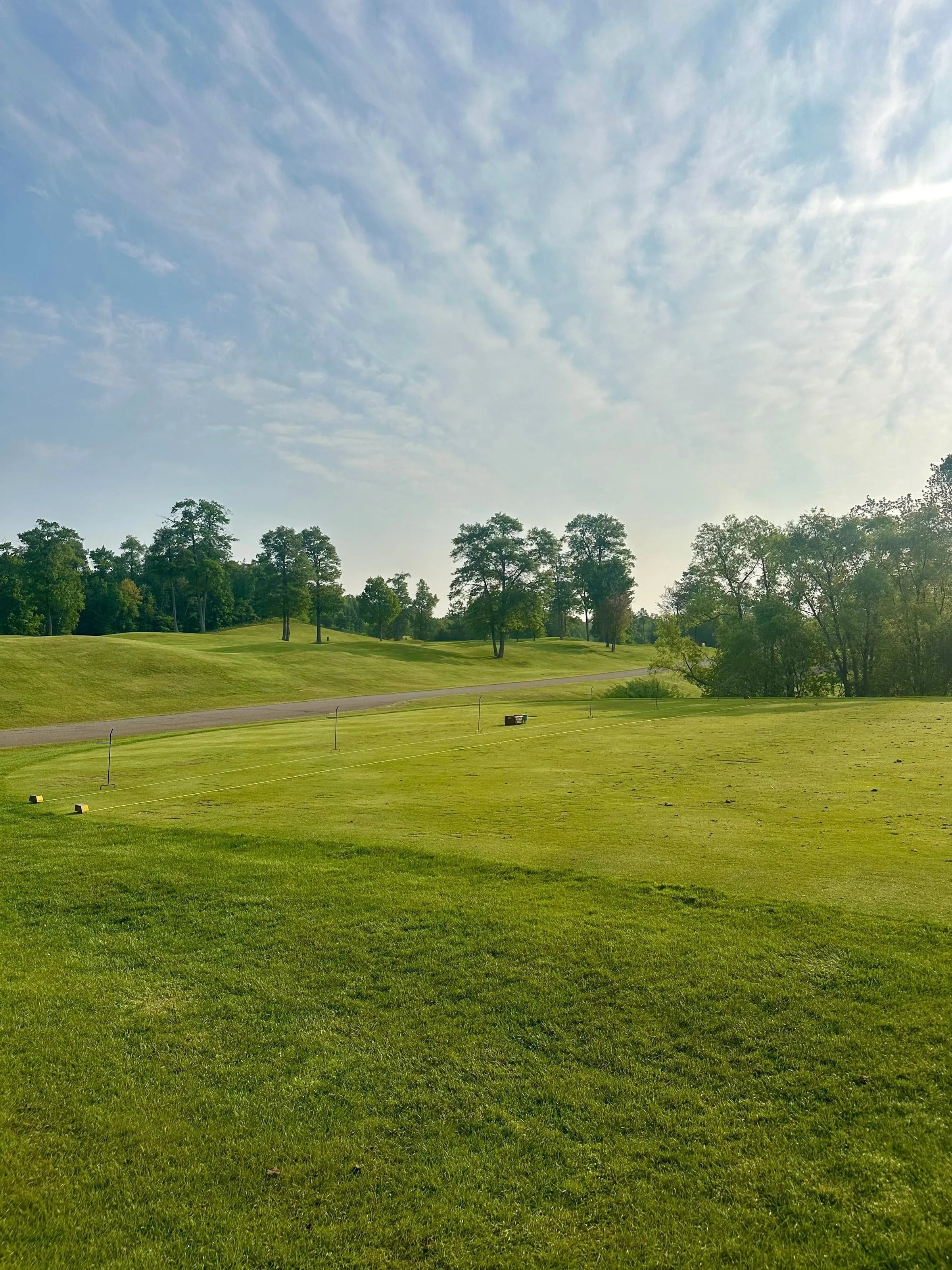 Driving range from the practice tee with ball field stretching into the treeline