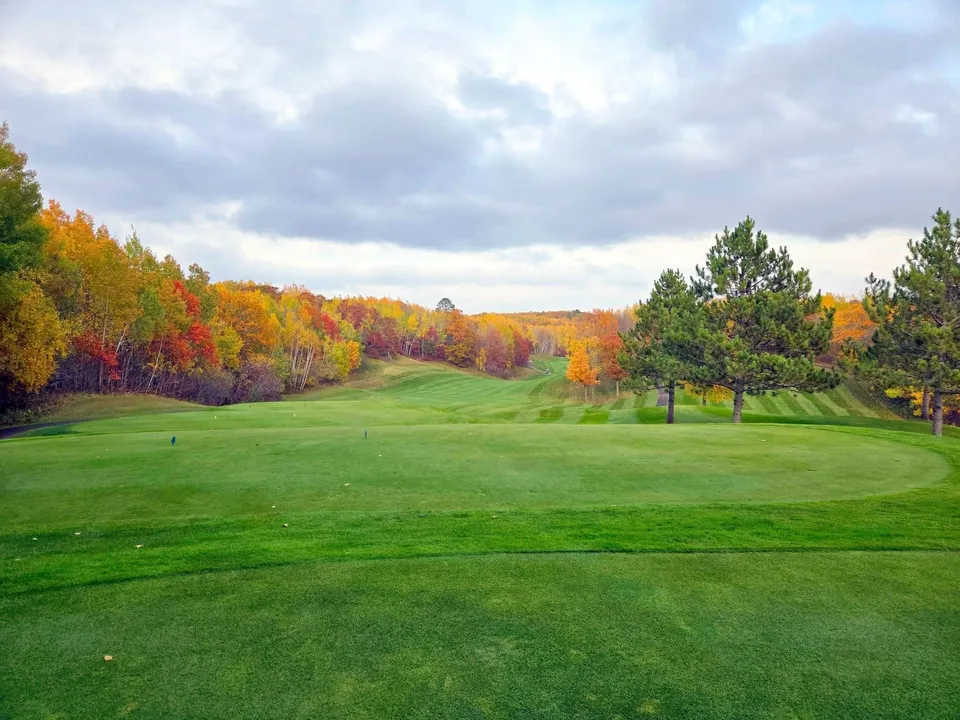 Long landscape down a fairway corridor with mature pine on both sides